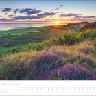 Text: "AUGUST 2027 | SYLT Meine Insel". Landschaft mit Heidesträuchern, Meer und Sonnenuntergang im Hintergrund.