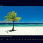 03 März. Kalender mit Palmenbild. Ein Strand mit klarem Wasser und blauem Himmel.