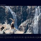 09 September. Ein Steinbock steht majestätisch auf Felsen vor einem hohen Wasserfall in einer bergigen Landschaft.