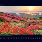 02 Februar. Text über Nagasaki-Park und Azaleenblüten. Sonnenuntergang über hügeliger Landschaft mit bunten Blumenfeldern.