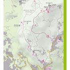Wanderkarte mit Start, Ziel und Wegnummern. "Bosco della Falanga", "Monte Epomeo 789", "Fußweg Sant’Angelo".