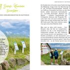"39 Seehase, Knurrhahn, Dwarslöper … Der Fischerei-Erkundungspfad in Haffkrug." Landschaft mit Infotafeln und Menschen.