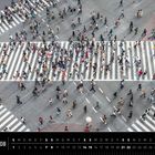 Text: "Japan 08", "Shibuya Crossing, Tokio". Oben quirliger Fußgängerverkehr auf großen Zebrastreifen in alle Richtungen.