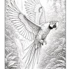 Illustration eines fliegenden Papageis vor einem Wasserfall im dichten Dschungel, umgeben von üppiger Vegetation.