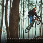 Kalender mit Monatstagen unten; Radfahrer in helmer vertikaler Fahrt durch nebligen Wald voller schlanker Bäume.