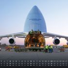 "International Cargo Transporter" steht auf einem Flugzeug mit geöffnetem Frachtraum, vor dem Menschen arbeiten.