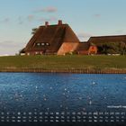„Kirchwarft Hallig Hooge 8“ und ein Kalender für den Monat August. Reetgedecktes Haus auf grünem Hügel am Wasser, viele Vögel.