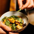 Eine Hand hält eine Schüssel mit würzigem Essen, garniert mit frischem Koriander und Frühlingszwiebeln.