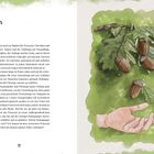 Text: "Samen, IM FOKUS." Illustration von Eicheln an einem Zweig mit Blättern und einer offenen Hand darunter.