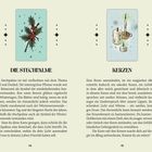 Stechpalme-Illustration links, Kerzen-Illustration rechts. Texte: "DIE STECHPALME" und "KERZEN" mit ausführlichen Beschreibungen.