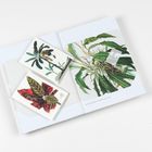Zwei botanische Karten: Eine mit roten Blättern, eine mit grünen Blättern. Ein offenes Buch mit Pflanzenillustration.