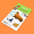 Texte: "DIVE IN!", "DISCOVER FUN FACTS", "A walrus's tusks can grow up to three feet long." Illustrationen von Meerestieren: Pelikan, Walross, Hammerhai, Rochen, Hummer.