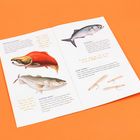 Text: "SOCKEYE SALMON, BLUEFISH, STRIPED BASS, SURF CANDY." Illustrationen von Fischen auf orangem Hintergrund.