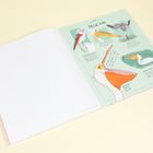 Text: "PELICANS, DALMATIAN PELICAN, GREAT WHITE PELICAN, AMERICAN WHITE PELICAN." Illustrationen von Pelikanen.