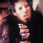 Ein haariges Wesen mit spitzen Zähnen und Krallen, das grobknochige Hände besitzt, scheint aufmerksam nach vorne zu blicken.