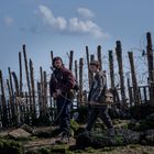 Zwei Personen mit Bögen und Rucksäcken gehen an einem Strand entlang, dahinter ein Zaun aus Holzpfählen und Stacheldraht.