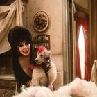 Lächelnde Frau mit auffälliger Frisur hält einen Pudel mit rosa Fellspitzen in einer altmodischen Küche.