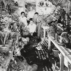 Eine Gruppe von vier Personen steht in einem Gewächshaus, umgeben von zahlreichen Pflanzen und Blumentöpfen.