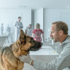 Kein Text vorhanden. Ein Mann in Schutzanzug hält einen deutschen Schäferhund. Im Hintergrund sind weitere Personen.