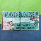 Text: "Maxine Louise!!! We cannot keep this pony!!!" Illustration: Kind und Pony in hellem Raum, fröhliche Szene.