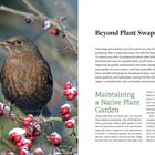 Texte: "Beyond Plant Swaps", "Maintaining a Native Plant Garden". Ein Vogel sitzt auf einem Ast mit roten Beeren. Schneereste.