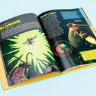 "Superpower: Glowing. Who: Fireflies" und "Warning Flash". Links Illustration von Glühwürmchen, rechts Foto von einem leuchtenden.