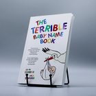 Der Titel lautet "THE TERRIBLE BABY NAME BOOK". Ein Storch trägt ein Baby im Schnabel.