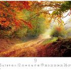 "CASARES EDITION" und Ziffern 1-30 in einer Kalenderleiste. Ein Waldweg im Herbst, bunte Blätter in Rot, Orange und Gelb.