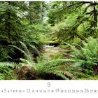 Kalenderblatt für September, umgeben von dichtem Wald aus hohen Bäumen und grünen Farnen.