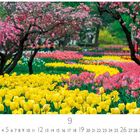 Ziffer 9, umgeben von einer bunten Frühlingslandschaft mit gelben und rosa Tulpen und blühenden Bäumen.