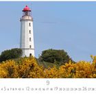 Text: "Hiddensee, Leuchtturm" und "CASARES EDITION". Ein weißer Leuchtturm steht hinter gelben Blumen und grünen Büschen.