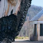 Verbrannter Baumstamm im Vordergrund, Rundbau im Hintergrund, karge Landschaft mit Hügeln und blauem Himmel.