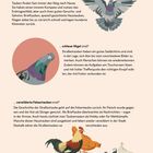 "Wusstest du, dass Straßentauben ..." Überschrift über drei Absätzen mit Infos zu Orientierung, Intelligenz und Herkunft. Illustrationen von Tauben und Hühnern.