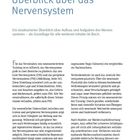 Seite 15: Überblick über das Nervensystem. Strukturiertes Training, zentrale und periphere Einteilung, Plastizität.