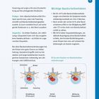 Der Text beschreibt Bandscheibenprobleme, Prolaps und Sequester. Fakten: 80-90% heilen in 6-12 Wochen; Diagramm illustrativ.