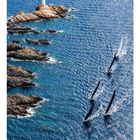 09, 01-30; Segelboote navigieren um felsige Küste im blauen Meer, mit einem kleinen Leuchtturm auf der linken Felsgruppe.