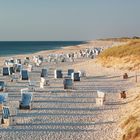 Nummern 129, 107, 111 auf Strandkörben. Sandstrand mit Dünen und vielen weißen Strandkörben, dahinter das Meer.