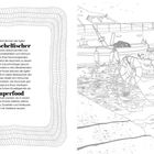 Text informiert über Sylt-Muschelfischer. Rechts Illustration mit Booten am Wasser. Links ein Netz umrahmt den Text.