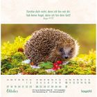 „Fürchte dich nicht, denn ich bin mit dir; hab keine Angst, denn ich bin dein Gott!“ Jesaja 41,10. Ein Igel auf Moos mit roten Beeren.