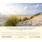 Text: "Gelegentlich abheben, den Träumen trauen, sie als Aufwind unter den Gedanken spüren..." 
Dünenlandschaft mit Meer. 