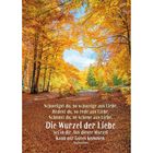 „Schweigst du, so schweige aus Liebe... kann nur Gutes kommen.“ – Augustinus. Herbstlicher Wald mit orange-gelben Blättern.