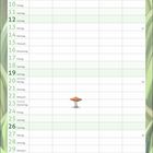 Kalenderblatt für September mit Wochentagen und Daten. Text: "Always believe in magic!" Niedliche Illustration mit Pilzen.