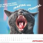 "Was wirklich fehlt, ist ein Tag zwischen Samstag und Sonntag." Kalender mit schwarzer Katze, die gähnt.