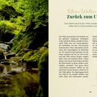 Links ein Wald mit fließendem Wasser, rechts Text: "Kleine Waldinspiration: Zurück zum Ursprung". Darunter Beschreibung des Waldes.