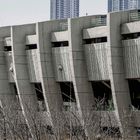 Olympische Ringe an einer Stadionfassade, kahle Äste im Vordergrund, hohe Gebäude im Hintergrund.