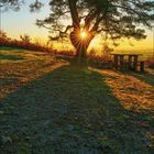 Kalenderseite September 2027, Tage in zwei Reihen. Szene: Sonnenaufgang hinter einem großen Baum, Herbststimmung, vordergründig ein Blatt.