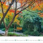 9月 2023. Eine Parkbank steht unter herbstlich gefärbten Bäumen, umgeben von üppigem Grün und Bambus.