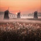 Drei Windmühlen stehen im Nebel, der Sonnenaufgang taucht die Landschaft in warmes, orangefarbenes Licht. Gräser im Vordergrund.