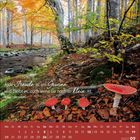 Zitat: "Jede Freude ist ein Gewinn und bleibt es, auch wenn sie noch so klein ist." Darunter Kalender September 2027. Bunte Herbstbäume, Pilze und ein Bach.