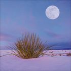 Grasbüschel auf weißem Sand unter violettem Himmel und großem Vollmond.